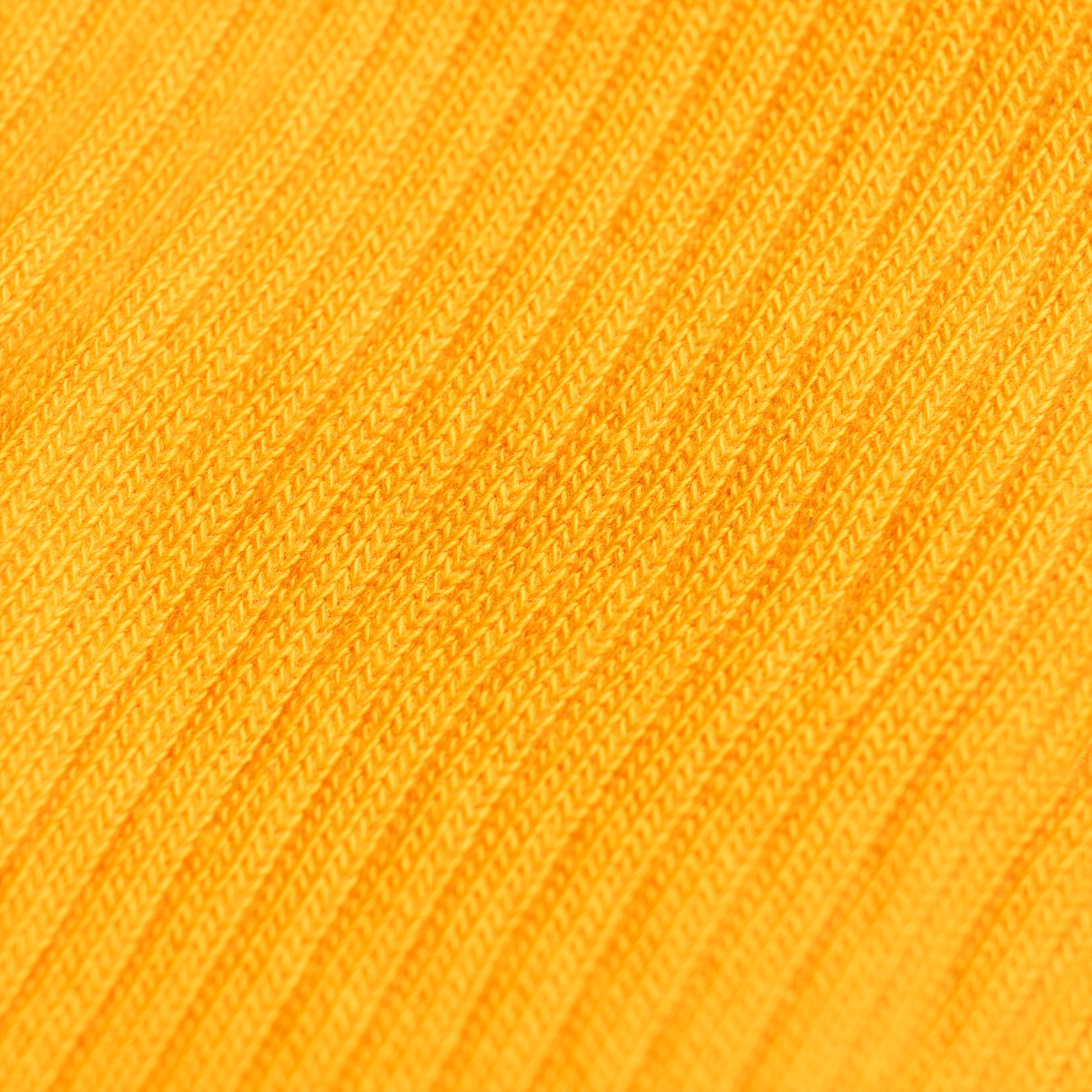 DRESS SOCK / GOLD-Socks